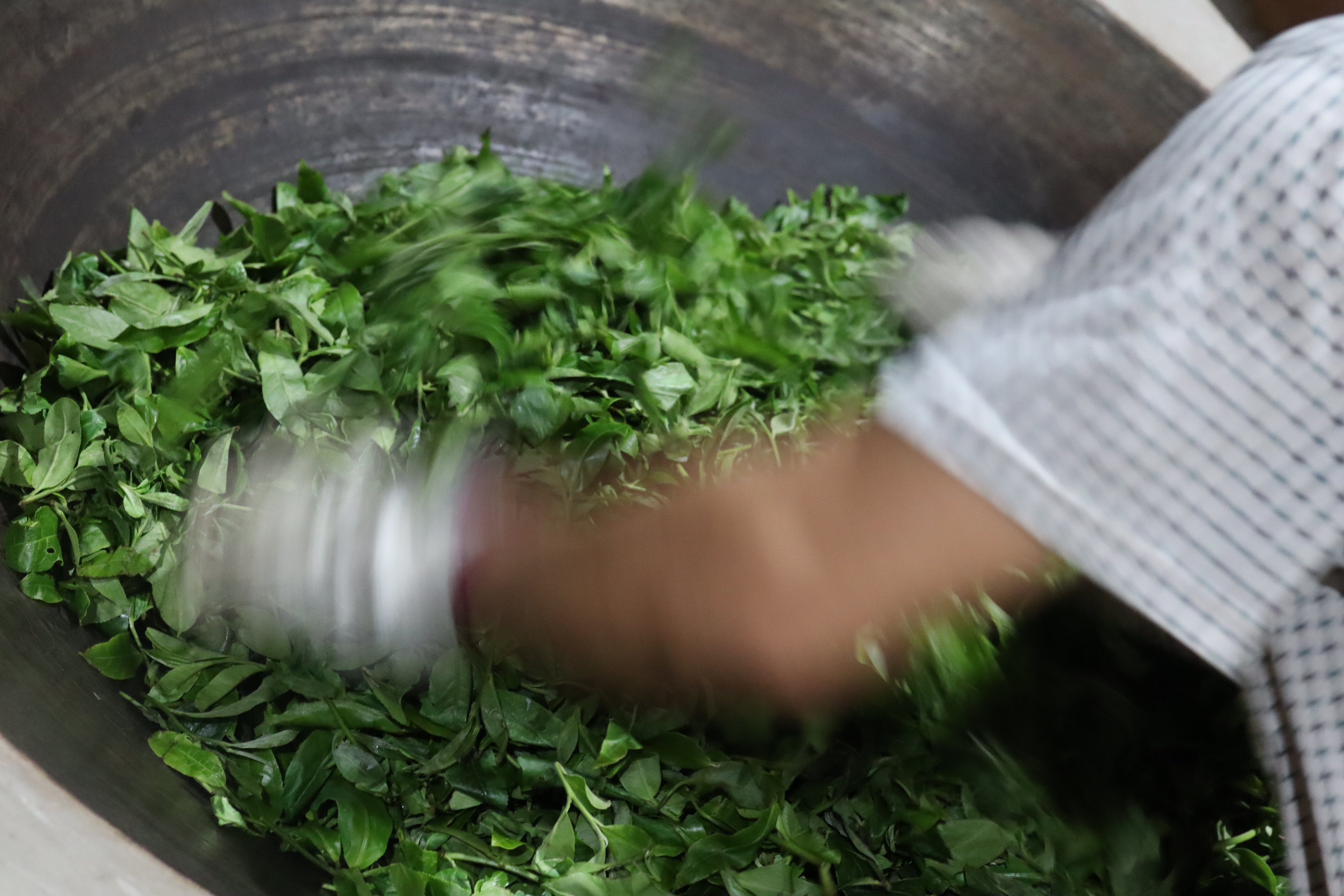 普洱品牌好熟茶有哪些_好的普洱熟茶品牌_哪个品牌普洱熟茶好