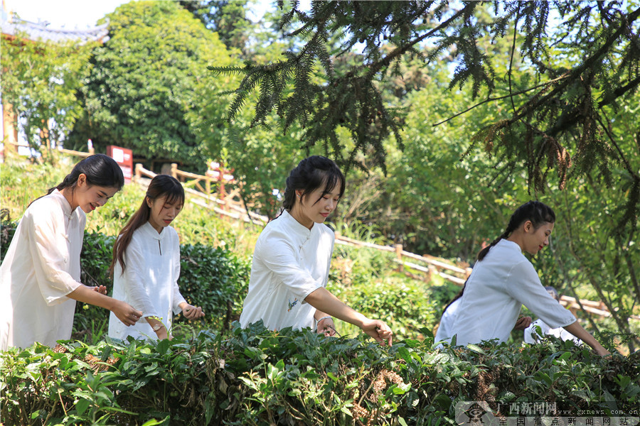 茶艺 儿童_儿童茶艺课需要讲什么内容_儿童茶艺图片