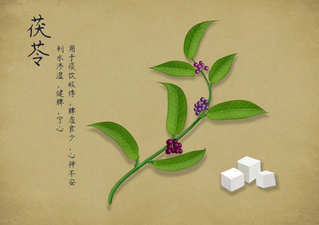 茯苓<a href=http://www.pinchajie.cn target=_blank class=infotextkey>黑茶</a>的喝法_茯苓<a href=http://www.pinchajie.cn target=_blank class=infotextkey>黑茶</a>怎么泡最好_茯苓<a href=http://www.pinchajie.cn target=_blank class=infotextkey>黑茶</a>