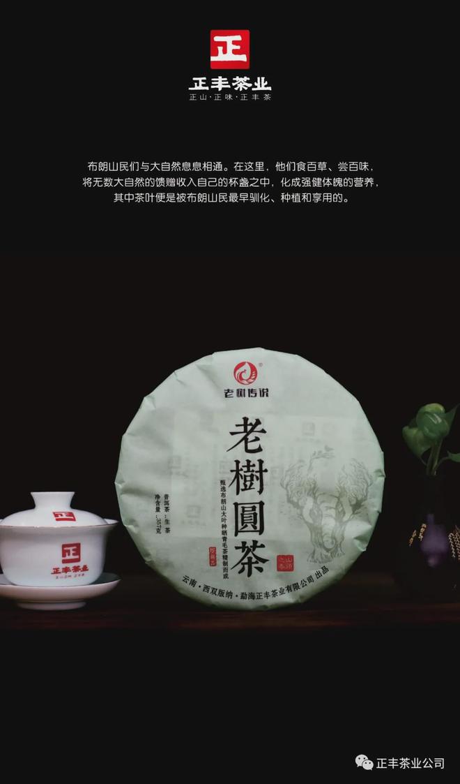 古老茶树值钱吗_老树古茶的口感_老树古茶是什么茶