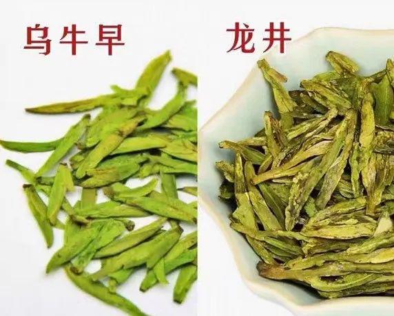 揭秘湖北鹤峰茶：历史悠久，品质卓越，文化底蕴深厚