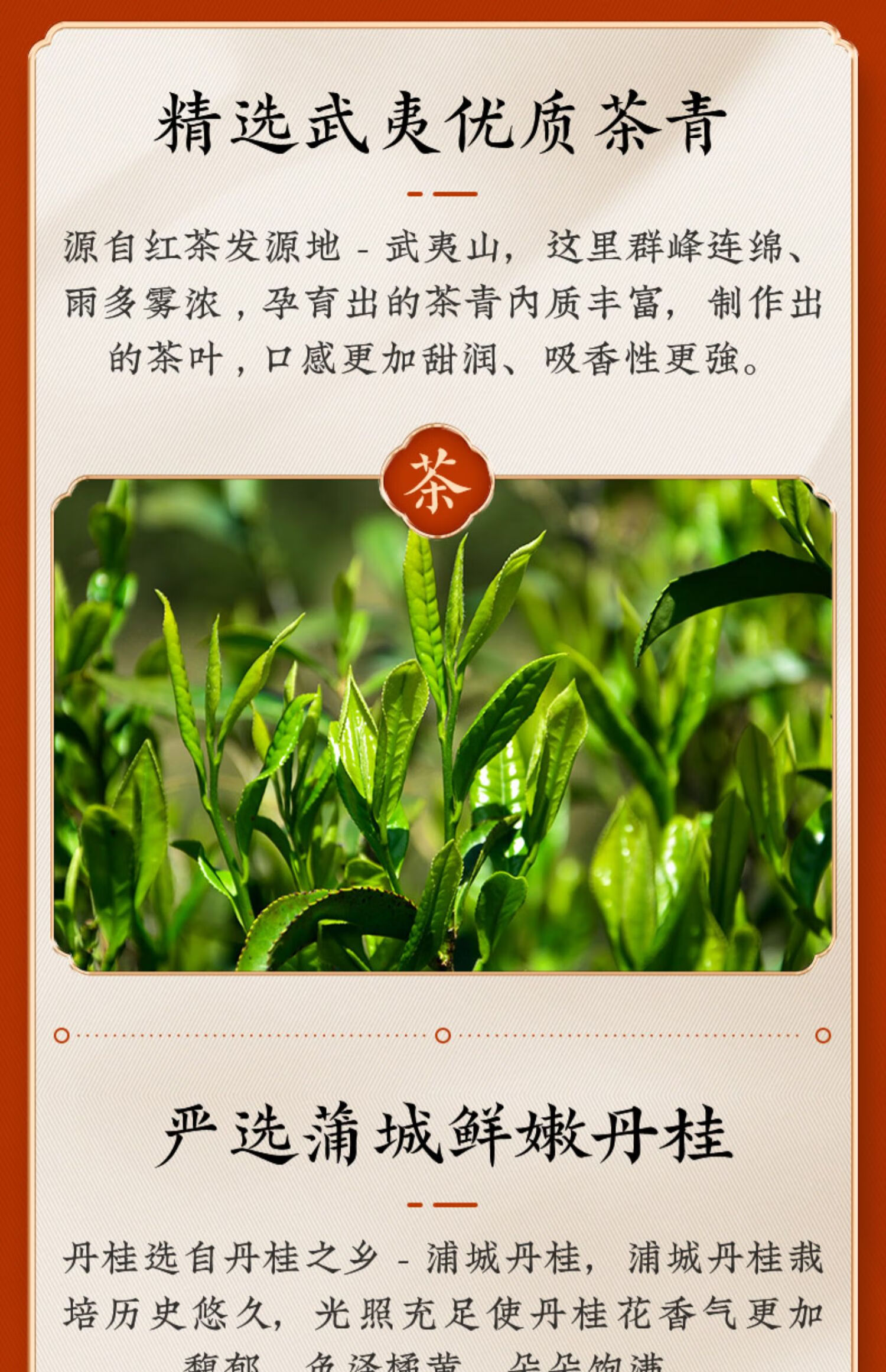 桂花<a href=http://www.pinchajie.cn target=_blank class=infotextkey>红茶</a>是什么_桂花<a href=http://www.pinchajie.cn target=_blank class=infotextkey>红茶</a>属于<a href=http://www.pinchajie.cn target=_blank class=infotextkey>花茶</a>吗_桂花<a href=http://www.pinchajie.cn target=_blank class=infotextkey>红茶</a>是什么茶