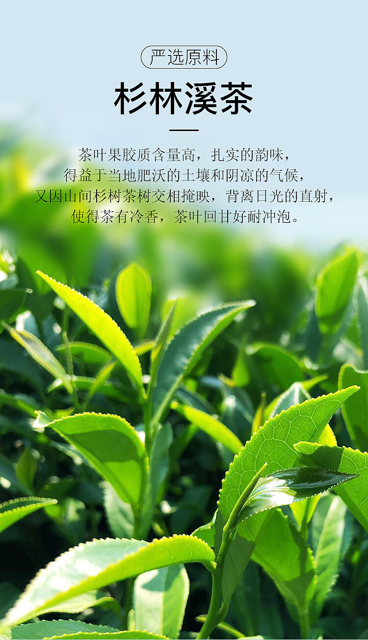 <a href=http://www.pinchajie.cn target=_blank class=infotextkey>乌龙茶</a>买哪种_<a href=http://www.pinchajie.cn target=_blank class=infotextkey>乌龙茶</a>买哪种减肥好_哪里买<a href=http://www.pinchajie.cn target=_blank class=infotextkey>乌龙茶</a>