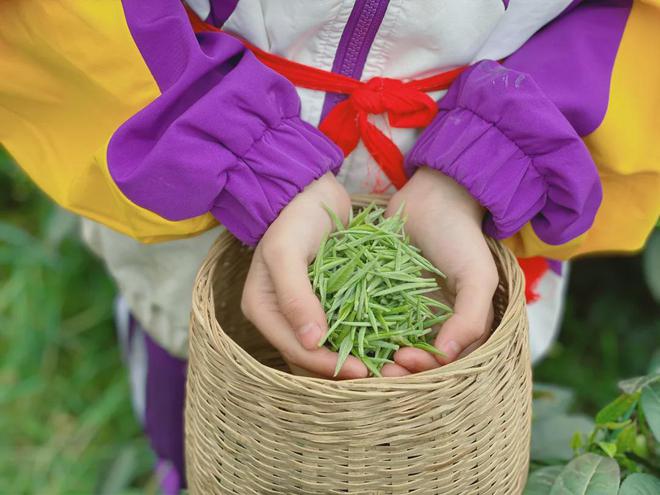 大连茶道培训学校_大连茶道培训哪家好_大连茶道