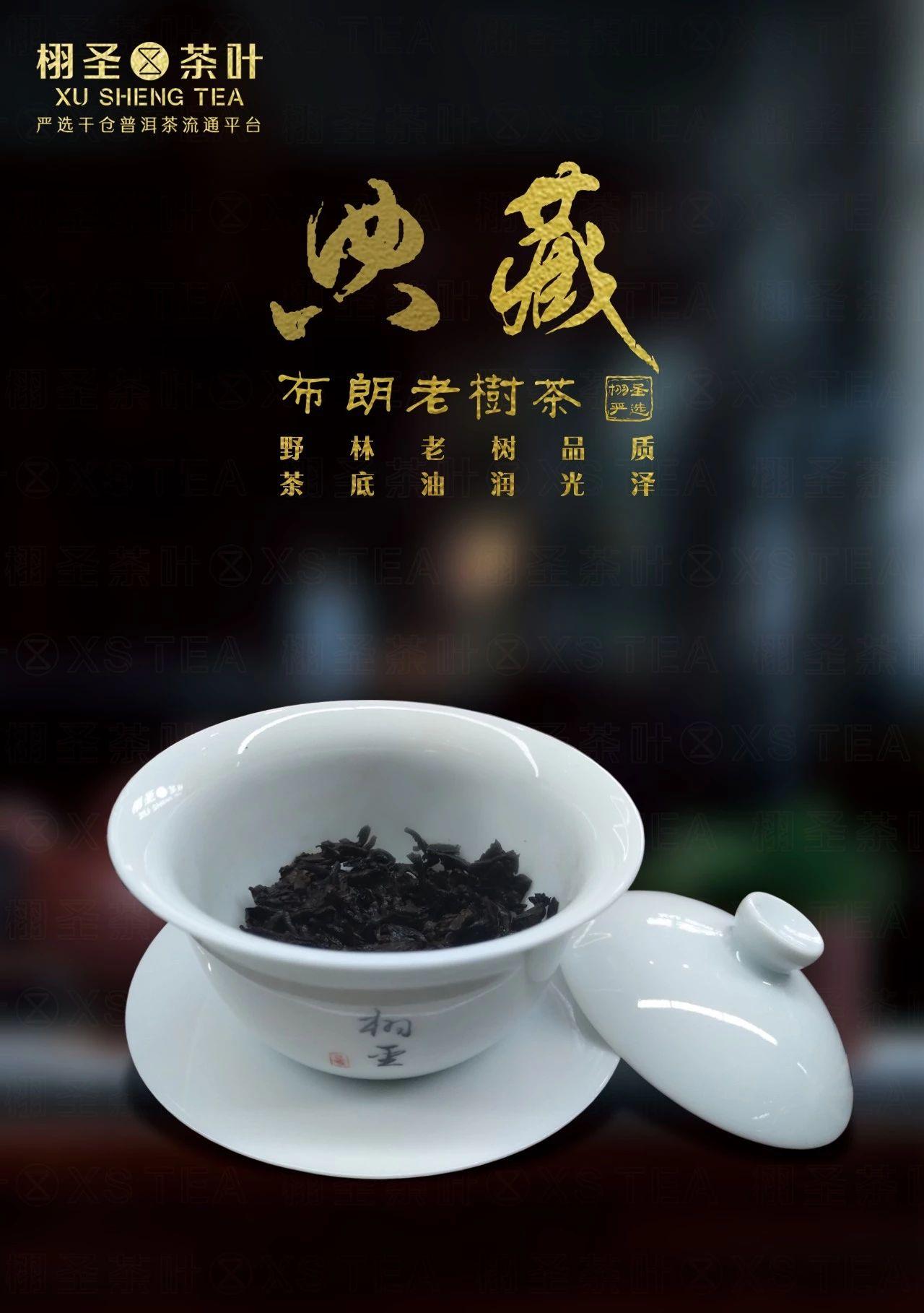 老茶树的价值_茶树老树_老树茶,是什么茶