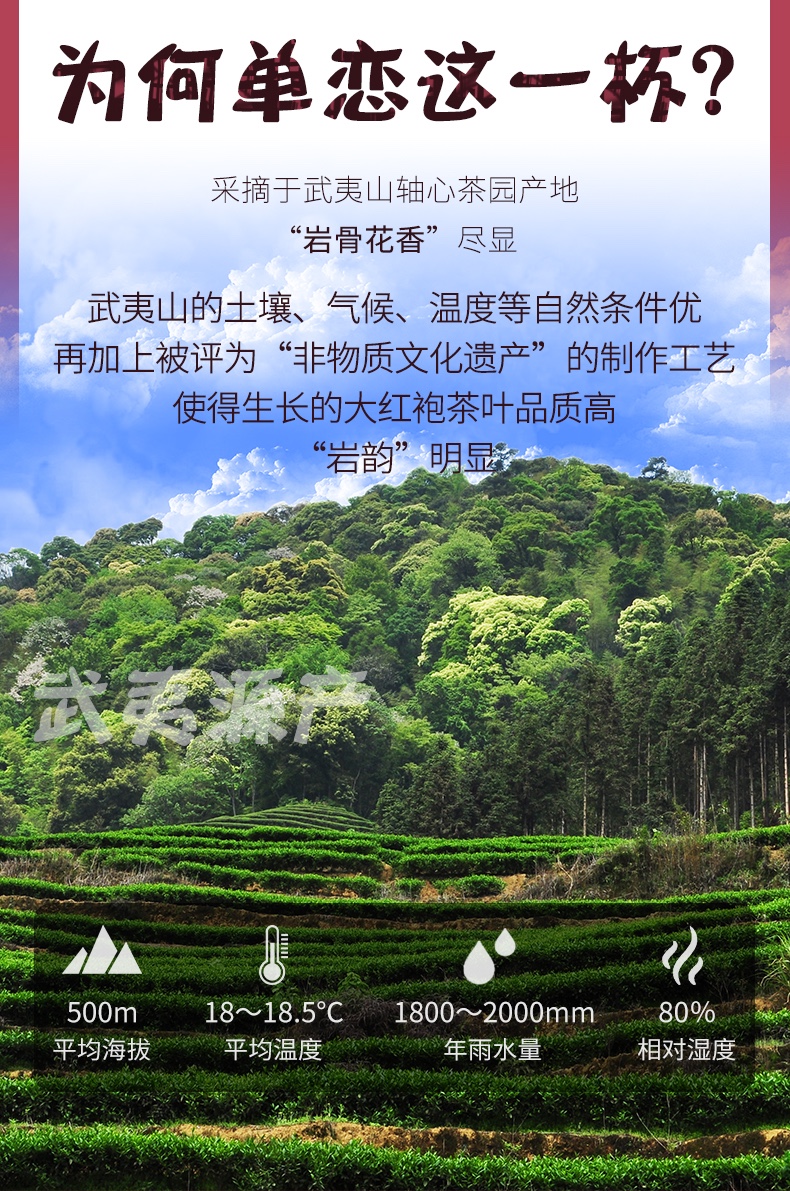 <a href=http://www.pinchajie.cn target=_blank class=infotextkey>岩茶</a>是<a href=http://www.pinchajie.cn target=_blank class=infotextkey>乌龙茶</a>吗_<a href=http://www.pinchajie.cn target=_blank class=infotextkey>岩茶</a>是烤的吗_<a href=http://www.pinchajie.cn target=_blank class=infotextkey>岩茶</a>是全发酵茶吗