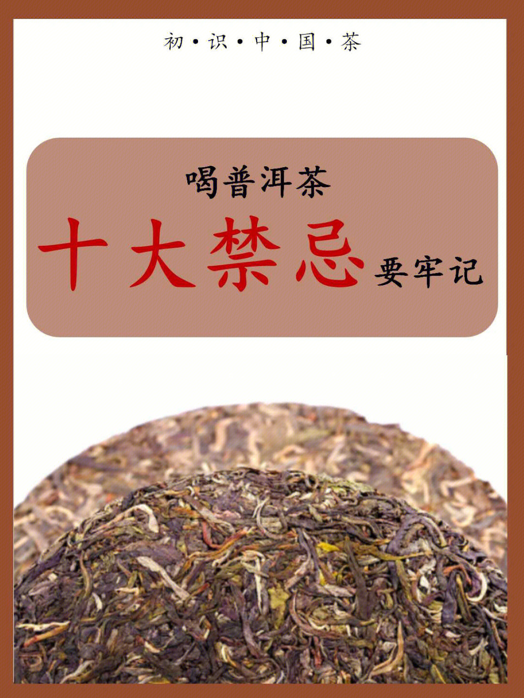 西双版纳绿印圆茶生普_台地茶 大树茶 <a href=http://www.pinchajie.cn target=_blank class=infotextkey>茶叶</a>大小区别_<a href=http://www.pinchajie.cn target=_blank class=infotextkey>茶叶</a>生普怎样的茶为之好茶