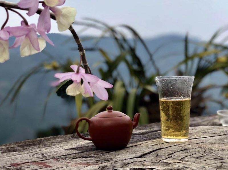 即茶_茶即人生_茶即禅的观点被视为茶道的什么