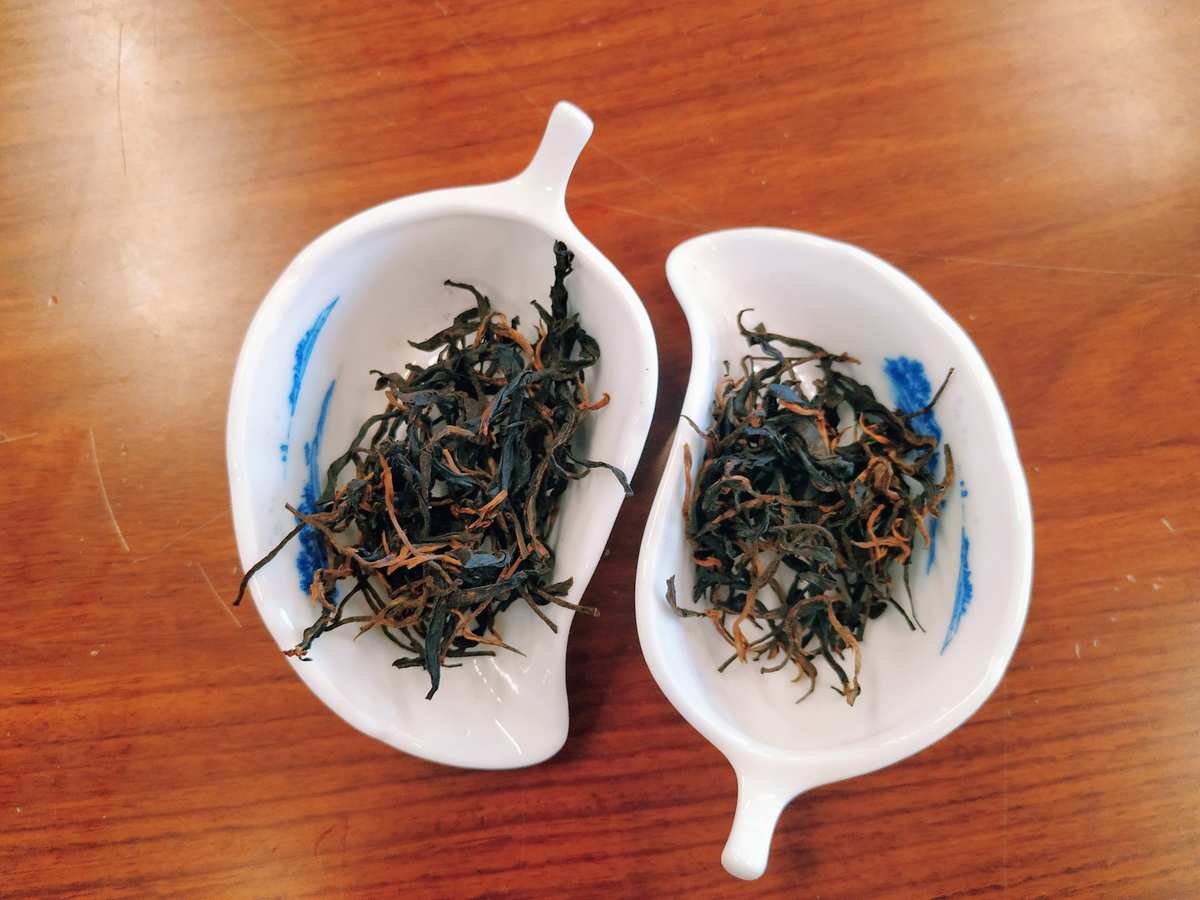 泡茶品鉴_识茶品茶泡茶_识茶泡茶鉴茶全图解