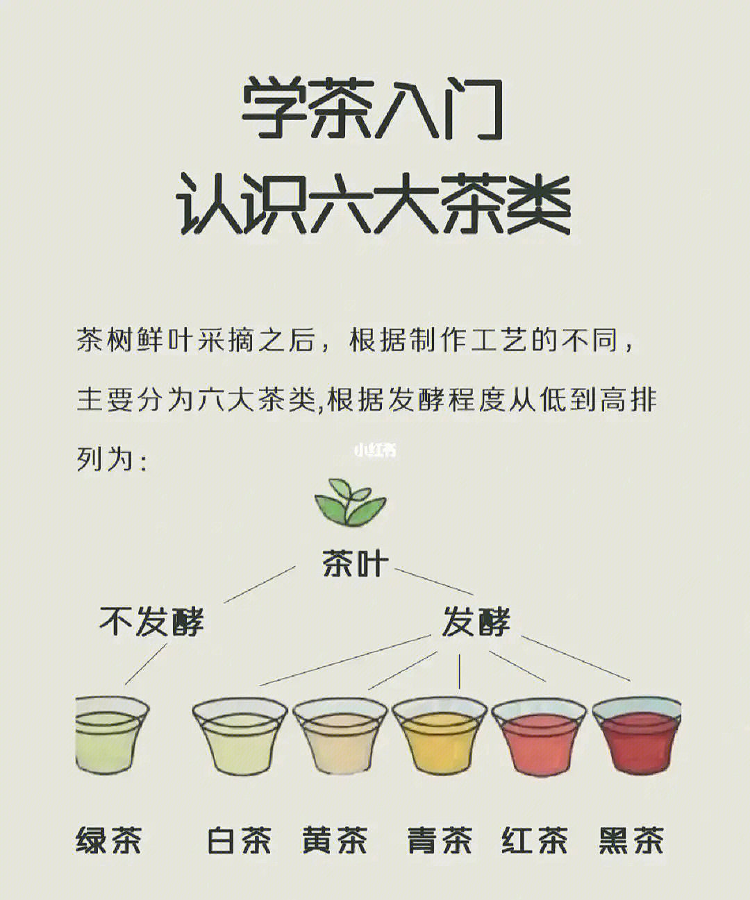 识茶泡茶鉴茶全图解_泡茶品鉴_识茶品茶泡茶