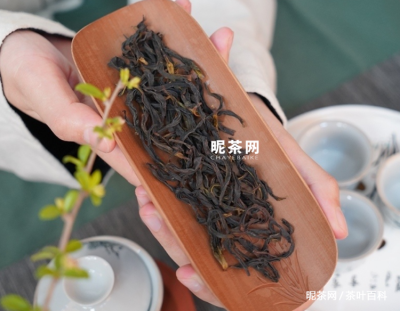 凤凰单丛茶是属于什么茶，有什么特点插图8