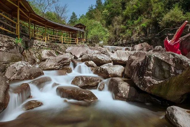 茶文化旅游线路_茶文化旅游可行性_茶文化旅游设计