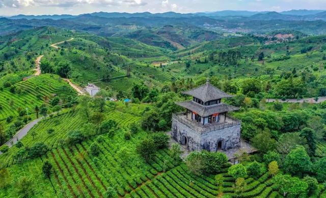 茶道古筝音乐精选_古茶道_茶道古马