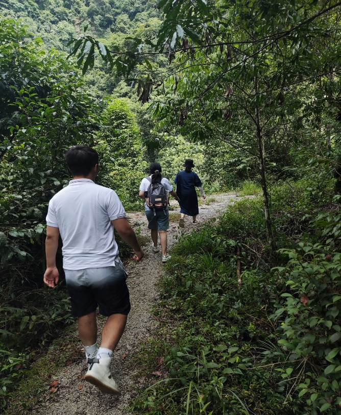 茶道古马_茶道古筝音乐精选_古茶道