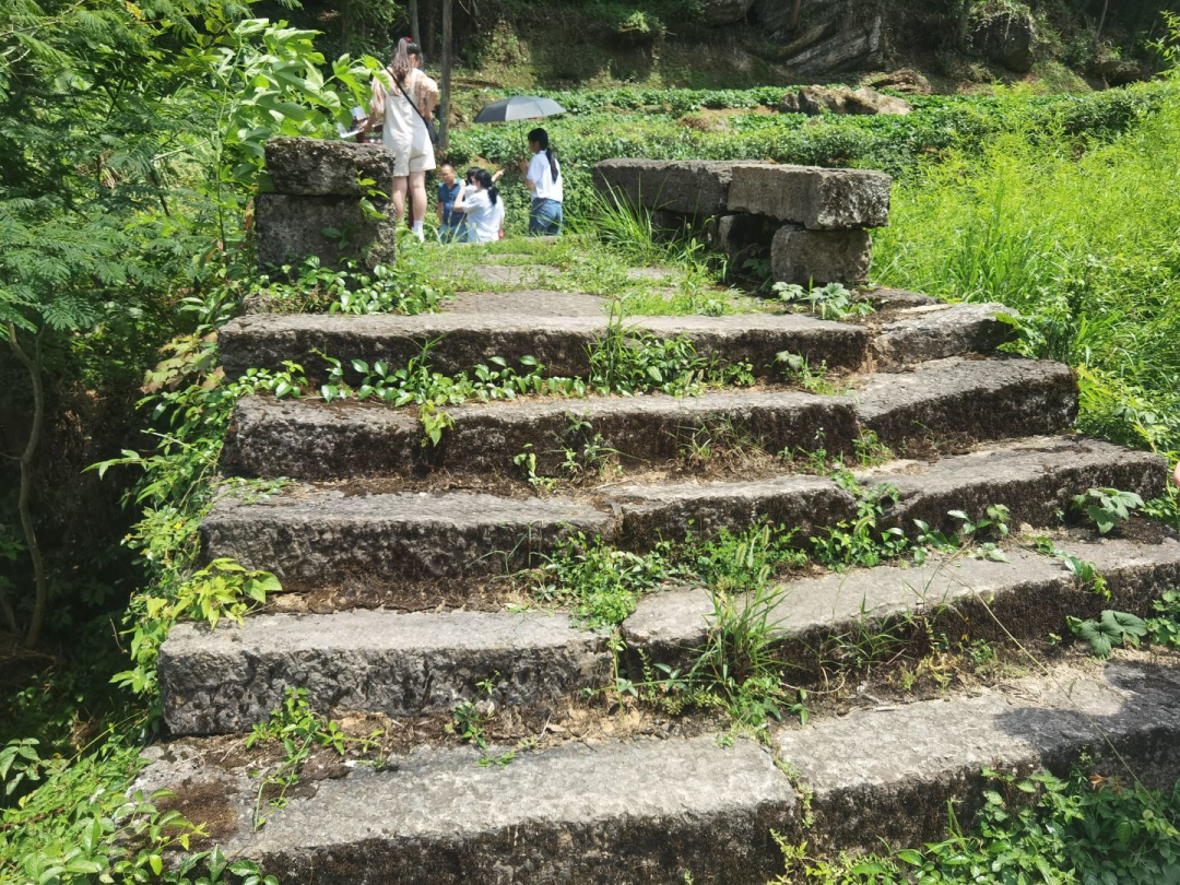 茶道古筝音乐精选_古茶道_茶道古马